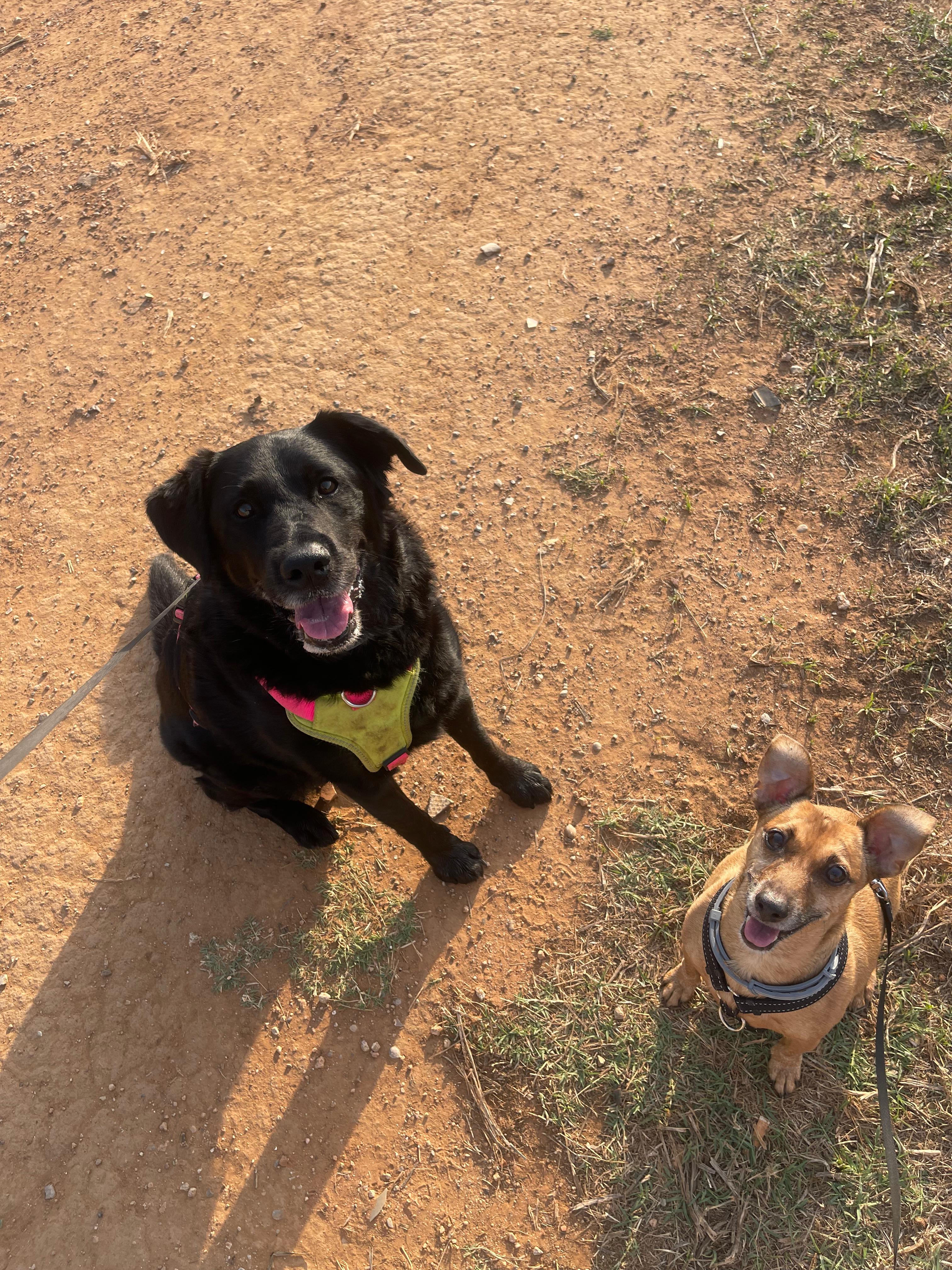 Colegas de La Guaurdería